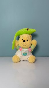 پو برگ به سر 25 س