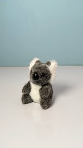 کوالا نشسته 21 س