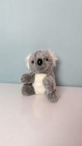 کوالا نشسته 35 س