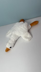 غاز خوابیده 50 س