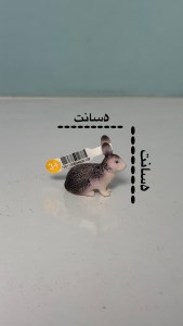 فیگور خرگوش