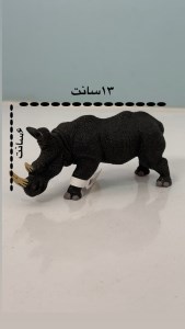فیگور کرگدن