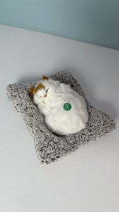 گربه موزیکال خوابیده کوچک