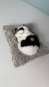 گربه موزیکال مشکی خوابیده کوچک