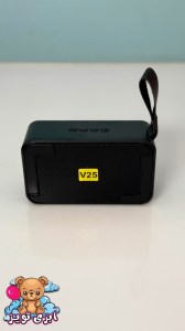 اسپیکر حرفه ای شارژی V25