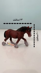 فیگور اسب دم کوتاه