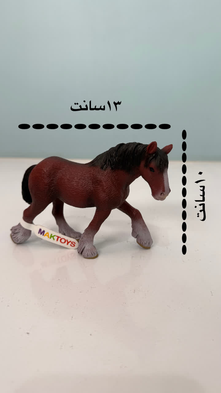فیگور اسب دم کوتاه